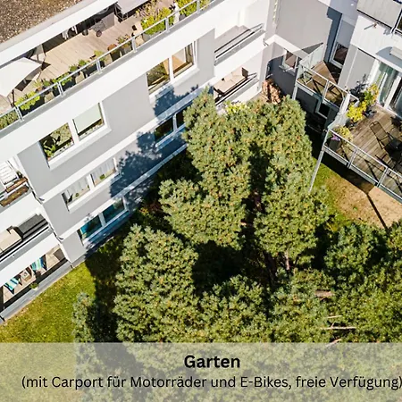 Riese - Lichtstrahl Arnsberg