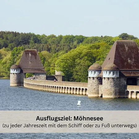 Riese - Lichtstrahl Arnsberg