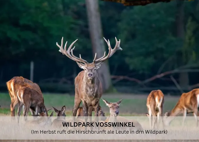 Riese - Lichtstrahl 公寓 阿恩斯贝格